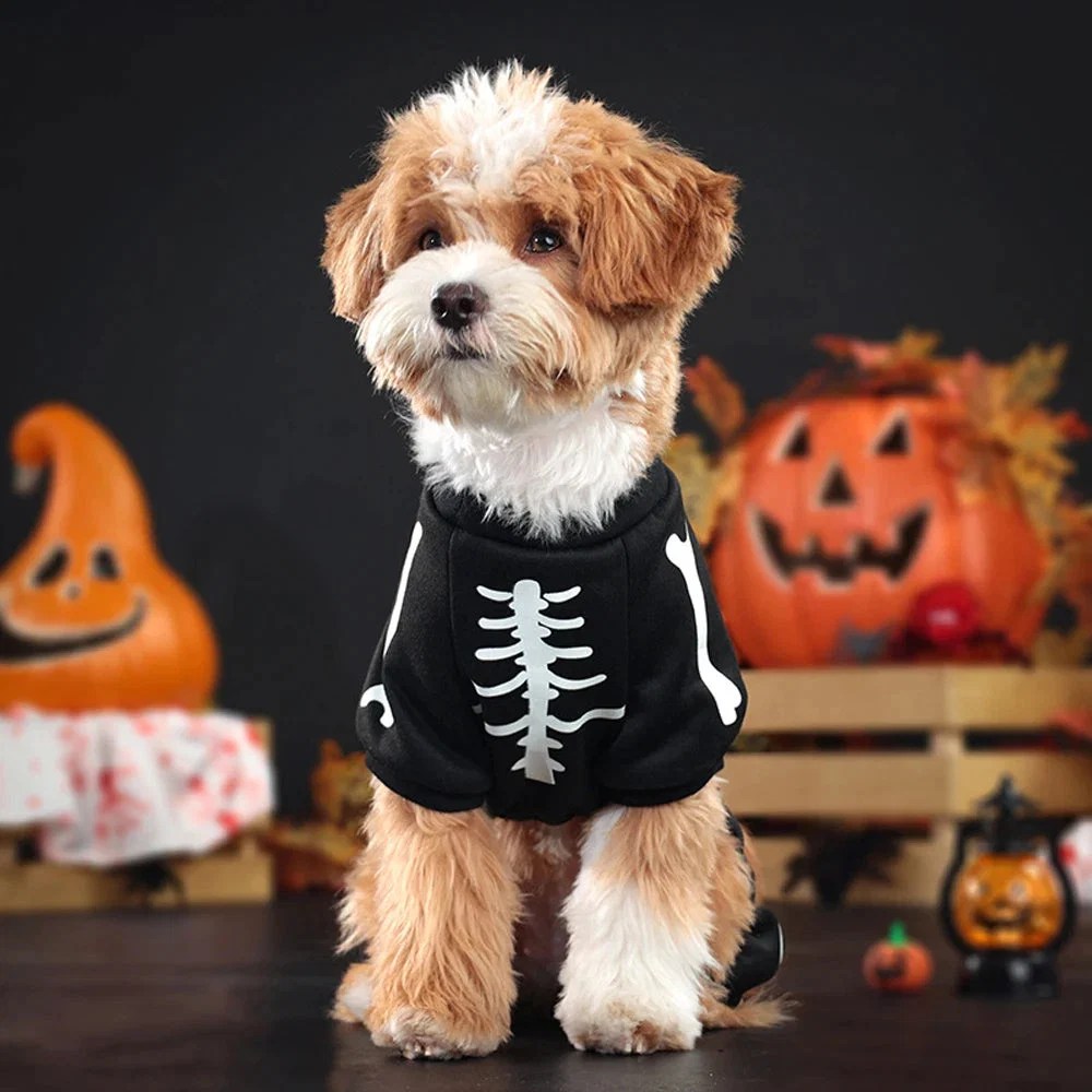 skeleton-jumpsuit-dog-halloween-costume-41192126.jpg