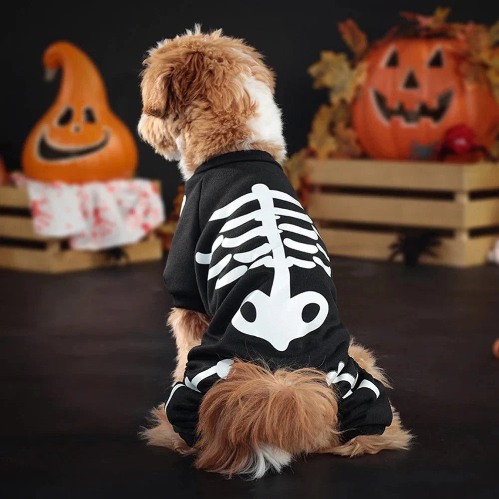 skeleton-jumpsuit-dog-halloween-costume-41192126_3.jpg