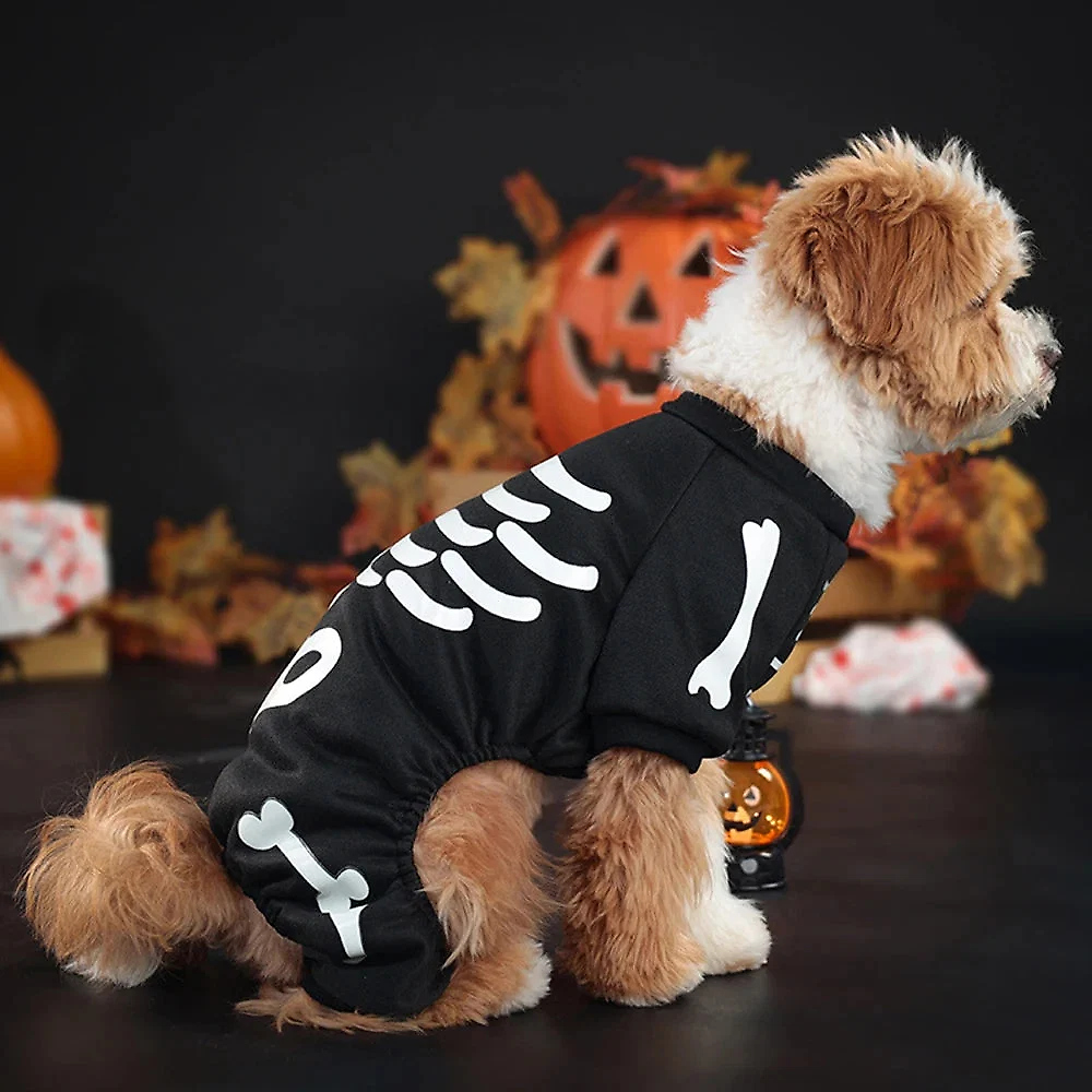 skeleton-jumpsuit-dog-halloween-costume-41192126_2.jpg